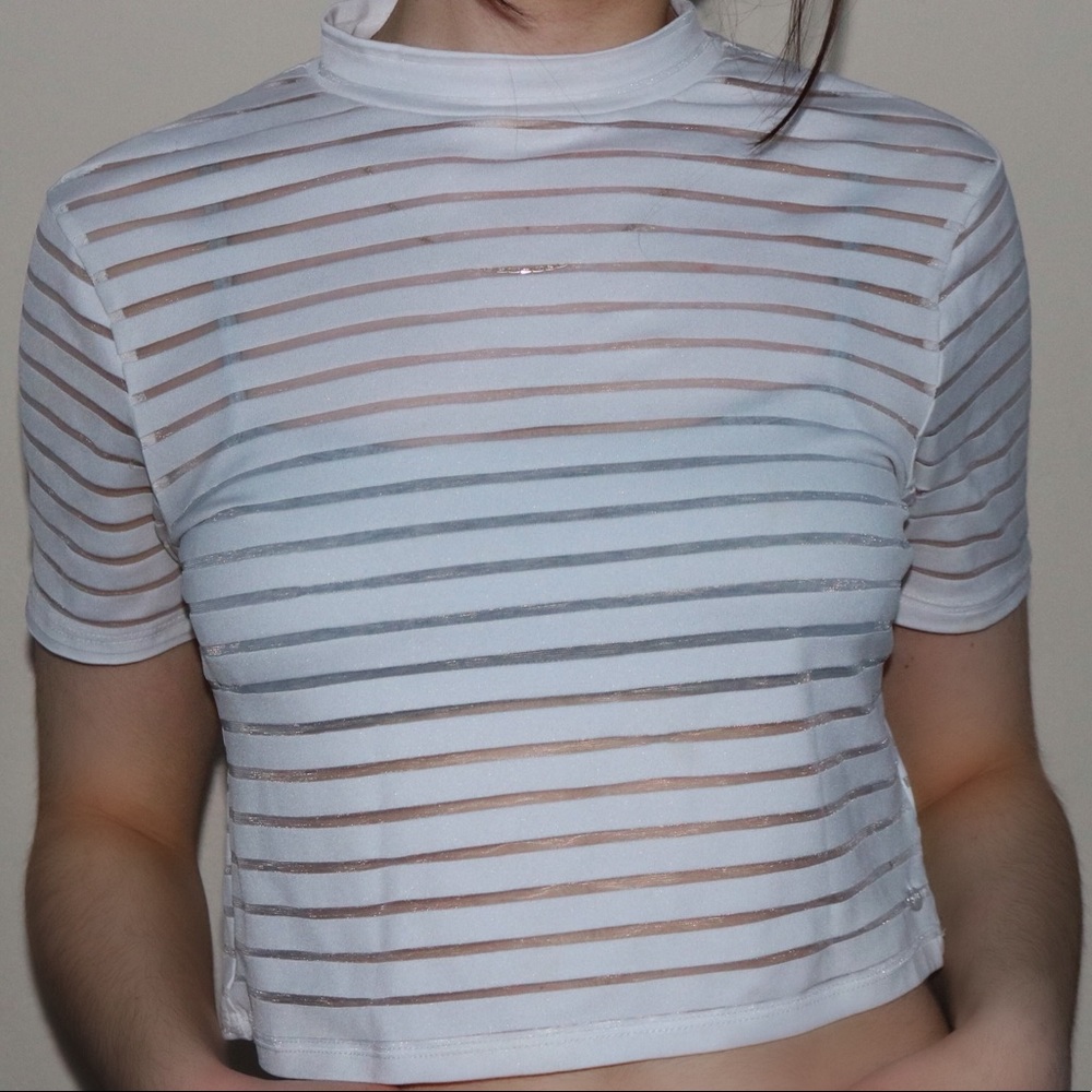 Mesh Striped Crop Top